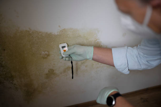 Water Damage Restoration in Evans, CO