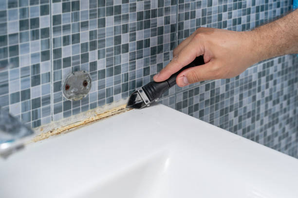 Mold Removal Process in Evans, CO